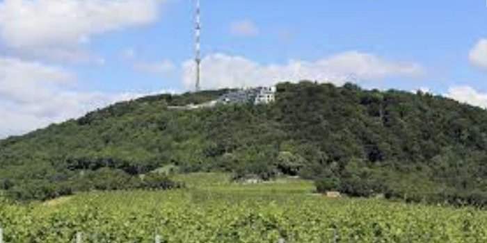 Randonnée à Vienne : Kahlenberg