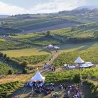 Randonnée dans les vignes 