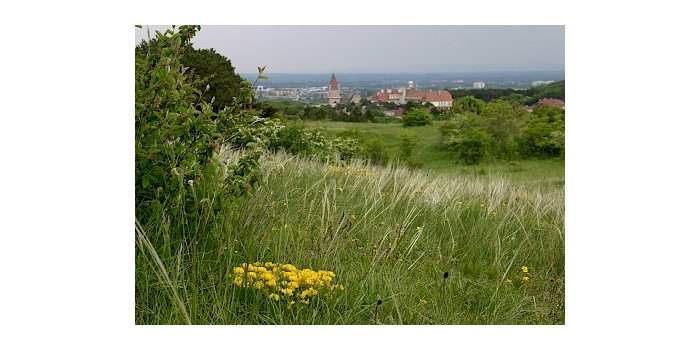 Promenade guidée de Rodaun à Perchtoldsdorf