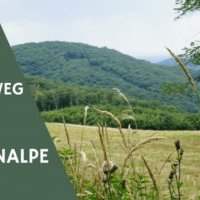 Sophienalpe : Stadtwanderweg 8 - Mardi 31 mai 09:30-15:00
