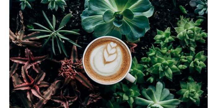 Café mensuel chez Laure