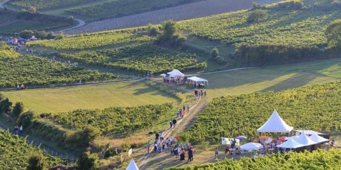 Randonnée dans les vignes 