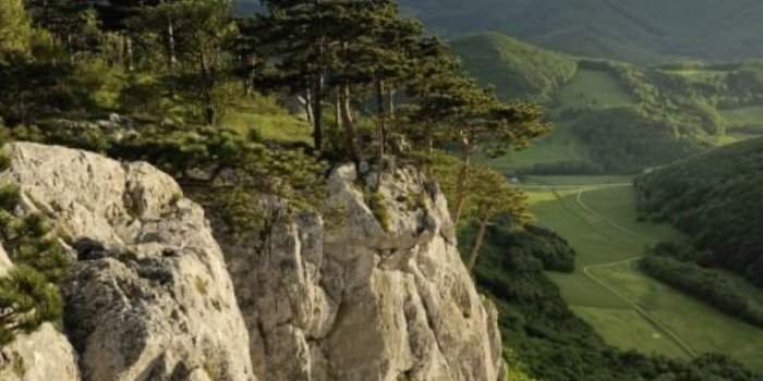 Randonnée dans la vallée du Triesting