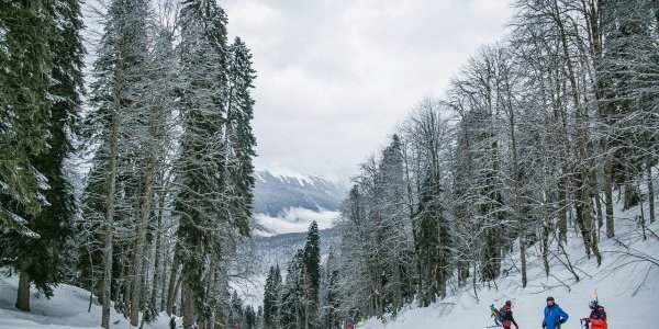 Ski et patinage