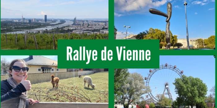 Rallye de Vienne