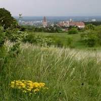 Promenade guidée de Rodaun à Perchtoldsdorf