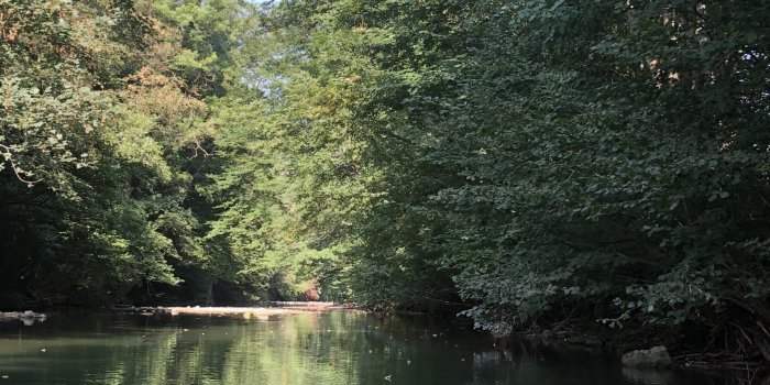Boucle Villa de L'archiduc Eugène-Wegerl im Helenental au départ de Siegenfeld