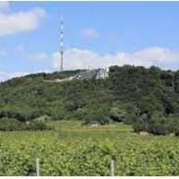 Randonnée à Vienne : Kahlenberg