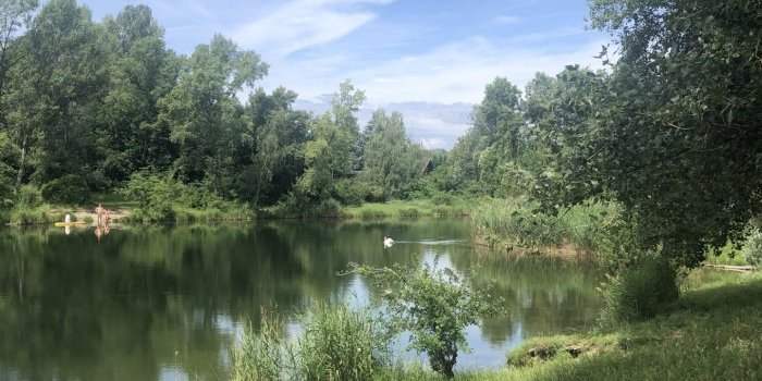 Promenade le long de la MÜHLWASSER et baignade