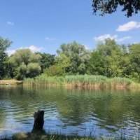 Boucle dans la Lobau-Panozzalacke au départ de Biberhaufenweg