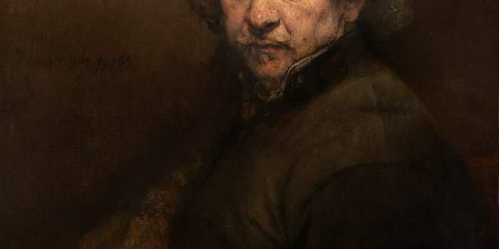 Visite guidée de l'exposition "Rembrandt-Hoogstraten : couleur et illusion"