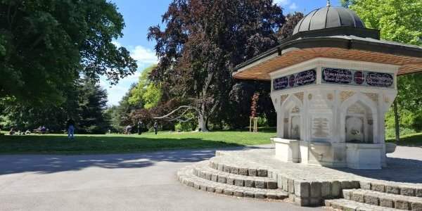 Pique-nique familial au Türkenschanzpark le 22 juin
