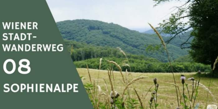 Sophienalpe : Stadtwanderweg 8